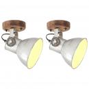 Wand-/Deckenlampen Industriestil 2 Stk. Silbern 20x25 cm E27