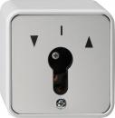 ARDEBO.de Gira 014430 Schlüsselschalter 10 A 250 V~ für alle DIN-Profil-Halbzylinder Tast-Rastschalter 2polig, Aufputz IP 44, grau